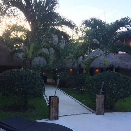 La Villa Mexicana By Diving Prestige 西普哈 外观 照片