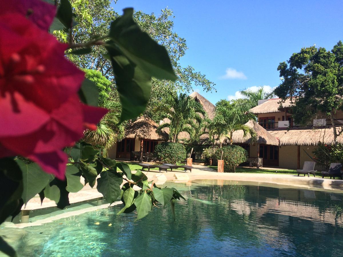 La Villa Mexicana By Diving Prestige 西普哈 外观 照片